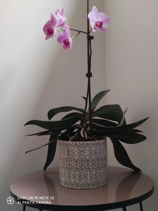 Chambre D'Hotes Du Muguet Avec Sdb Privative Льо Ман Екстериор снимка